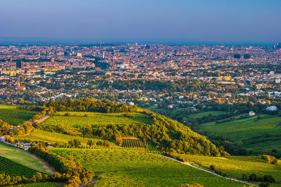 Uncorking Vienna: The Ultimate Local Guide to Urban Vineyards, Heurigen, and Wine Bars — The Heuriger Experience: Tradition in the Vineyards