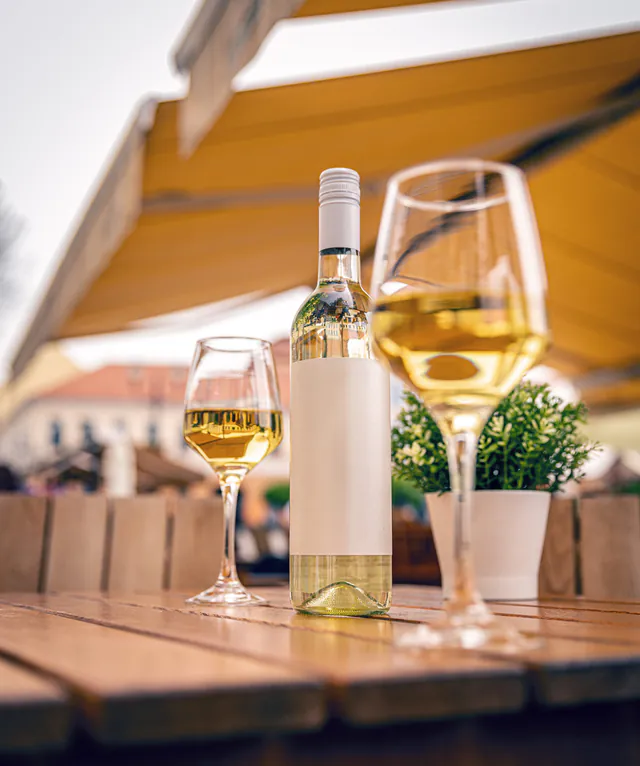 夏季旅游指南：Vienna — Heuriger 文化与葡萄酒节