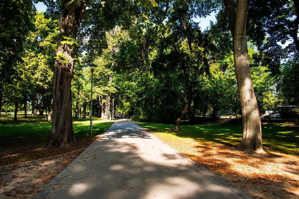 Tree-lined paved pathway through Margaret Island park on a sunny day