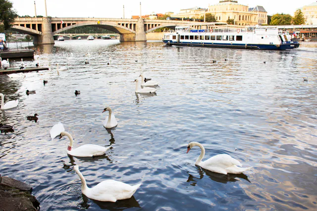 PRAGUE BOATS: 50-Minute Sightseeing Cruise — gallery 3