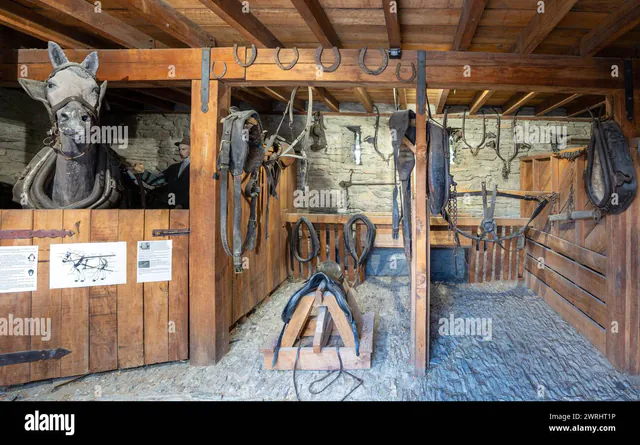 Museum of Senses Prague — The Historical Tapestry: Industrial Heritage and the 1852 Stable