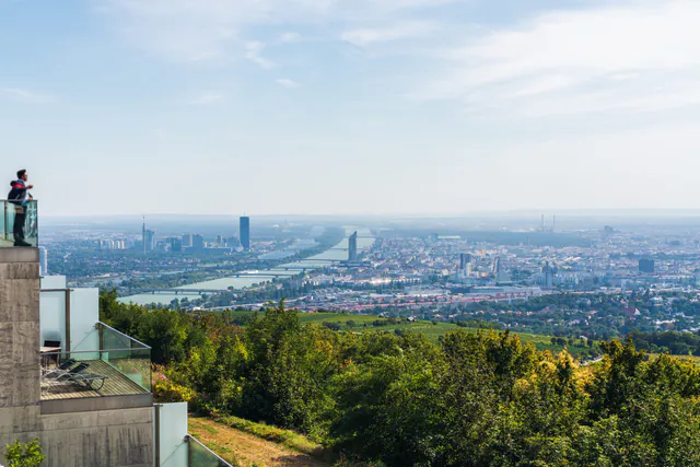 Summer Travel Guide: Vienna