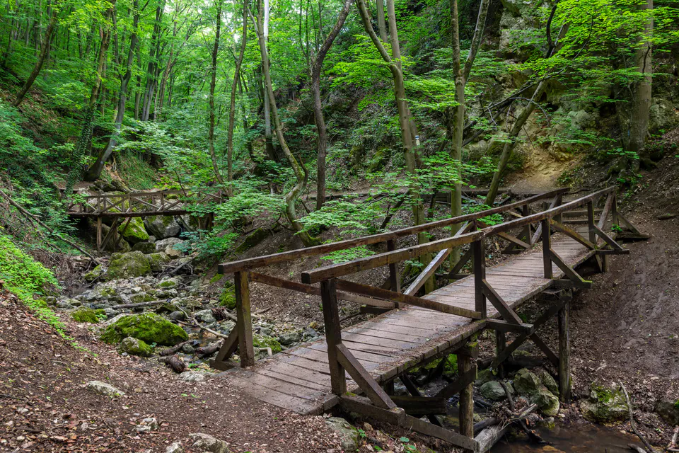 Wooden footbridge crossing a rocky stream in lush green forest along marked hiking trail