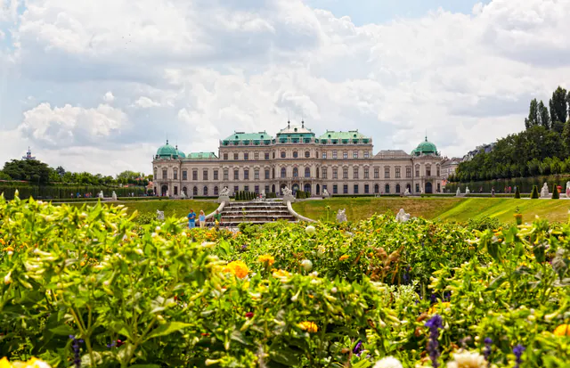 Belvedere — photo 10