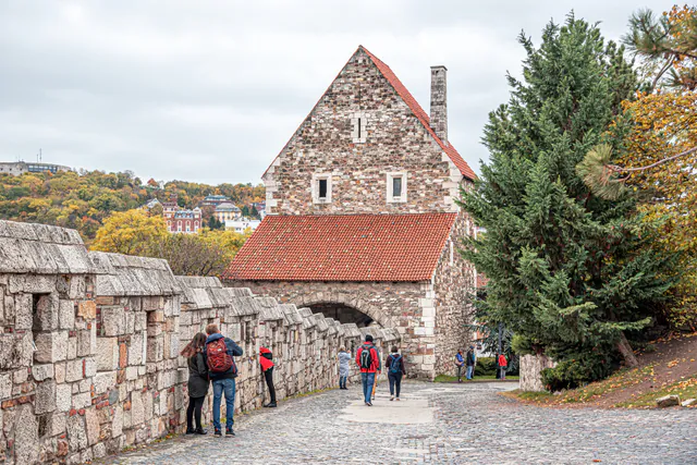 Várhegy (Castle Hill) — photo 10