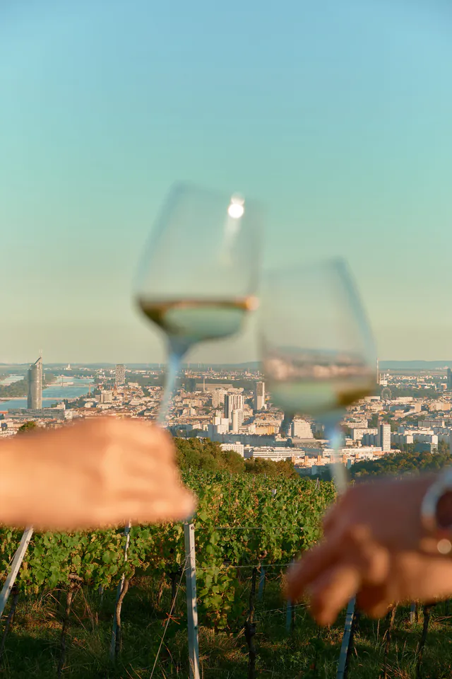 Vienna Heuriger Wine Taverns Guide: Experiencing Austria's Urban Vineyards — Grinzing, Nussdorf, and the Legacy of Beethoven