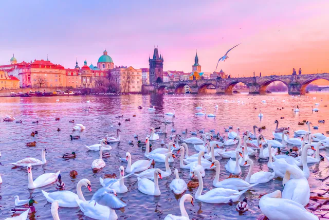 ibis Praha Old Town — photo 3