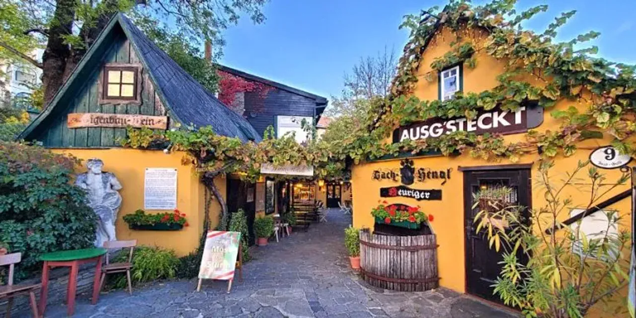 Vienna Heuriger Wine Taverns Guide: Experiencing Austria's Urban Vineyards