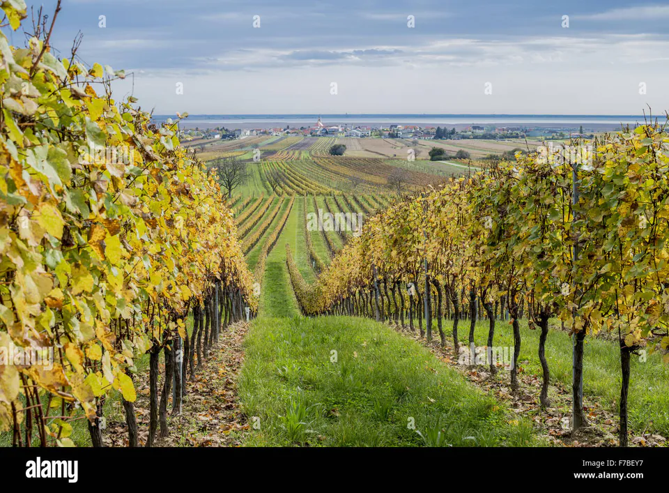 Beyond the Ringstrasse: The Best Day Trips from Vienna — Lake Neusiedl: Steppe Landscapes and Burgenland Vines