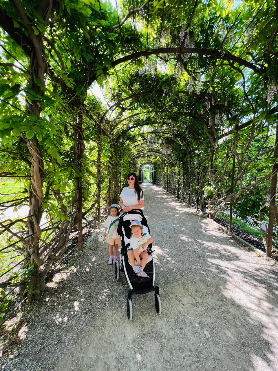 美泉宫花园 — 家庭活动