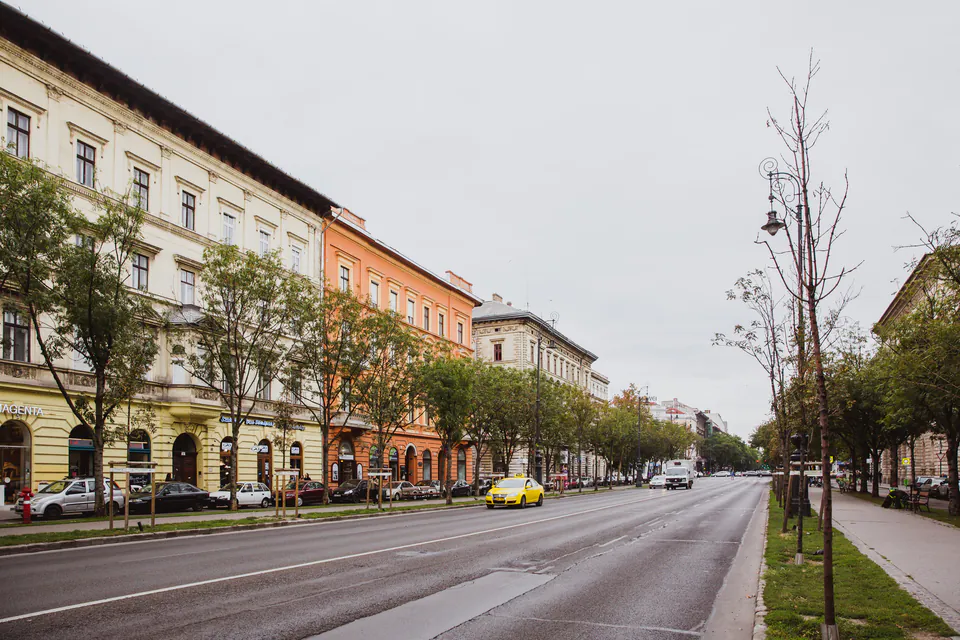 Tree-lined Andrássy Avenue with historic buildings and autumn foliage in Budapest