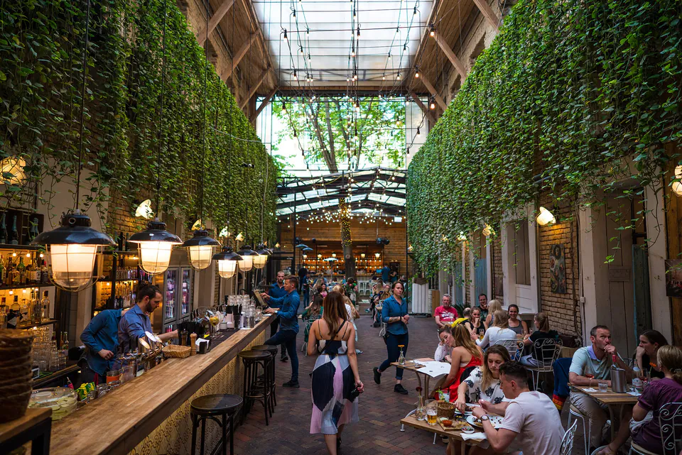 Restaurant interior with hanging vines, glass ceiling, and long wooden bar where diners gather