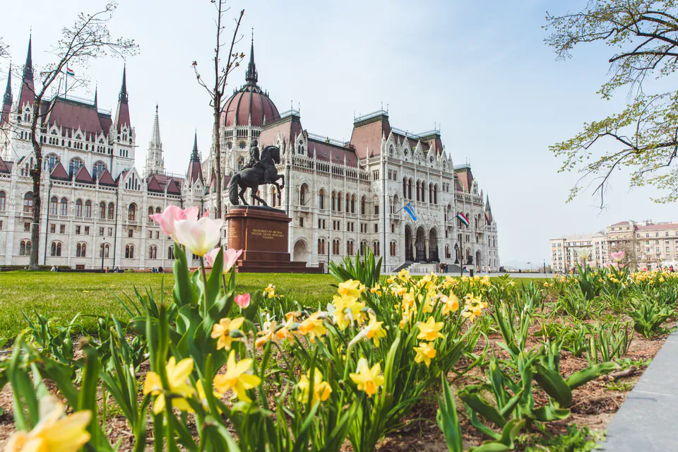 Hungarian Parliament Building with spring flowers blooming in the foreground