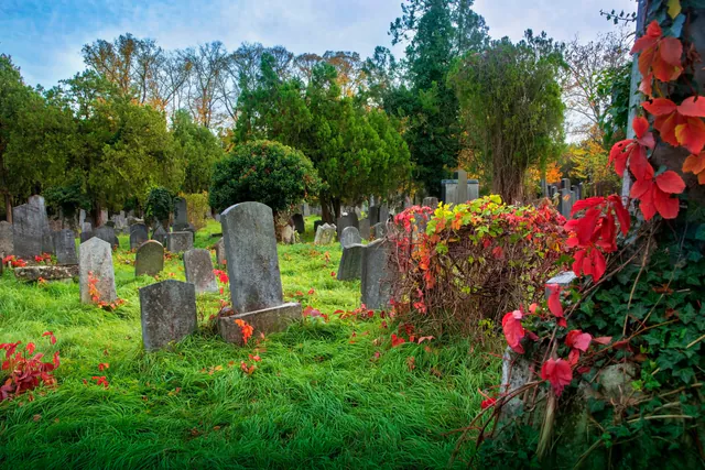 Wiener Zentralfriedhof — photo 8