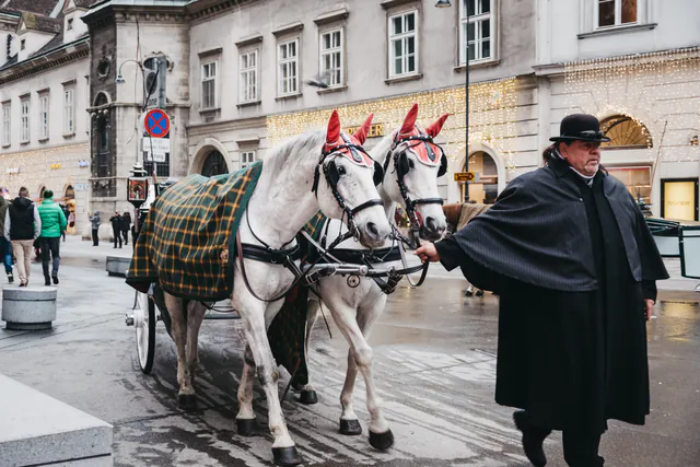 Vienna圣诞市集指南：资深本地人的深度报告 — Am Hof 与 Freyung：老Vienna的美食与传统