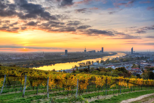 빈 와인 하이킹의 날