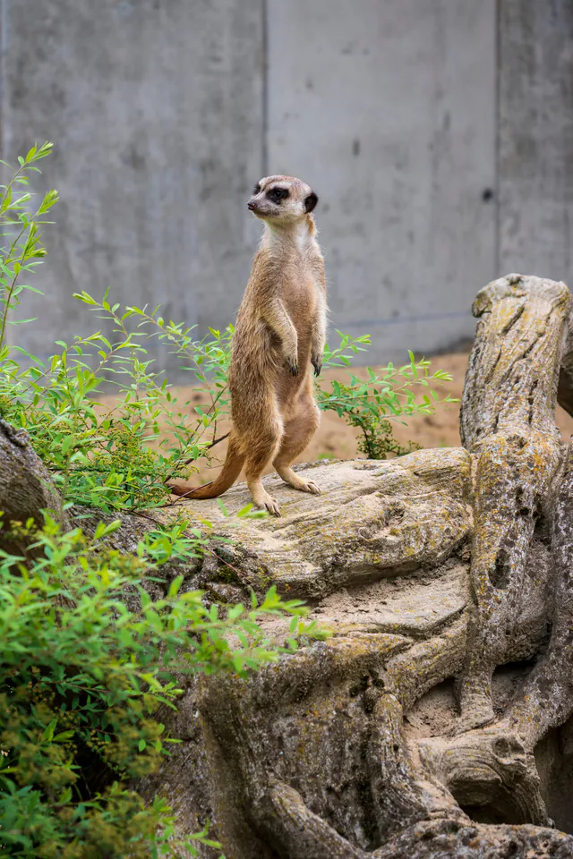 Prague Zoo — photo 5