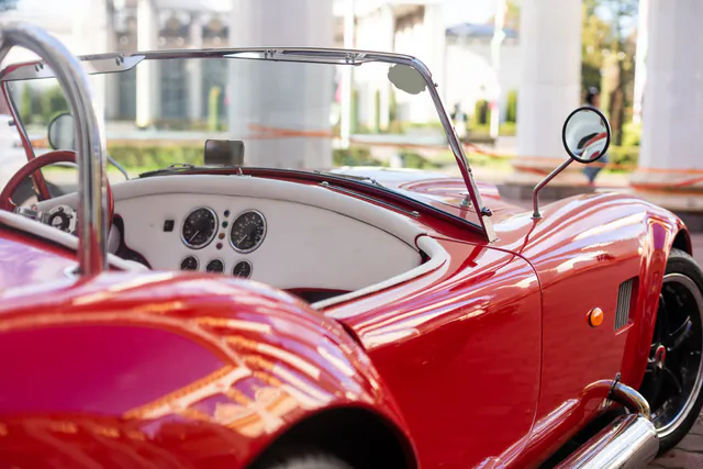 Hotrod Wenen Daglicht Tour — De Ervaring