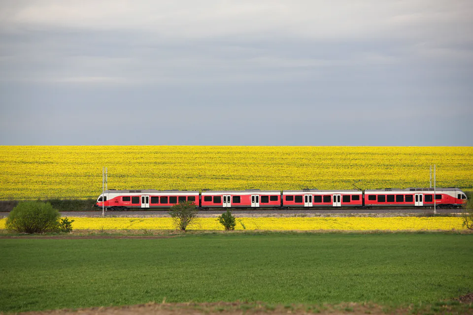 Red train passing through vibrant yellow rapeseed fields en route to Lake Balaton