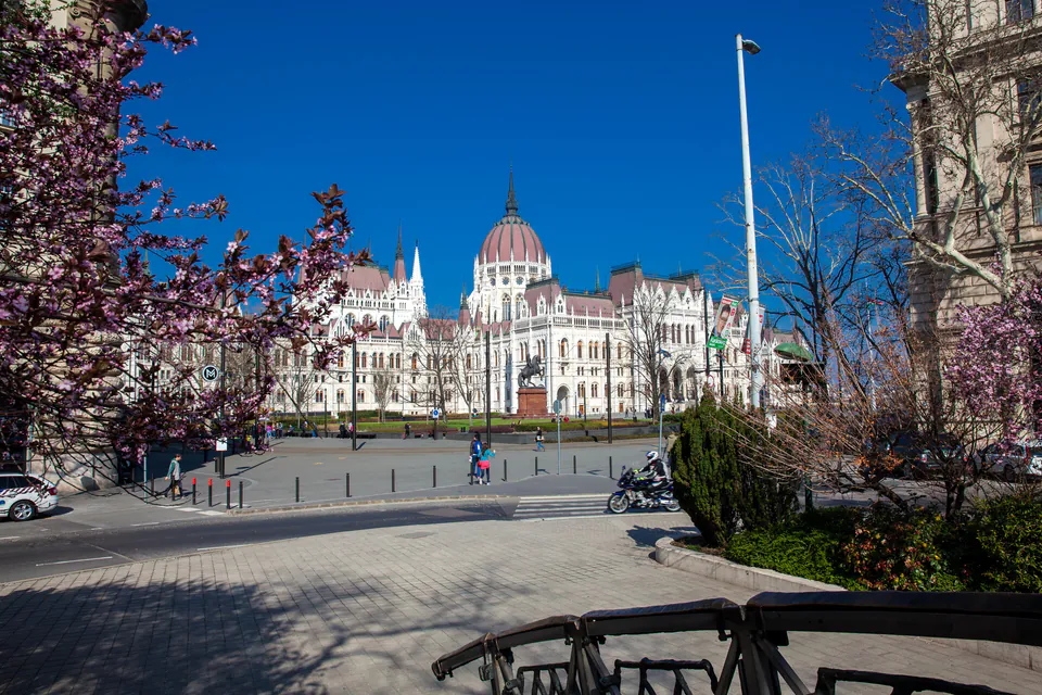 Spring blooms in Budapest with Parliament building in background