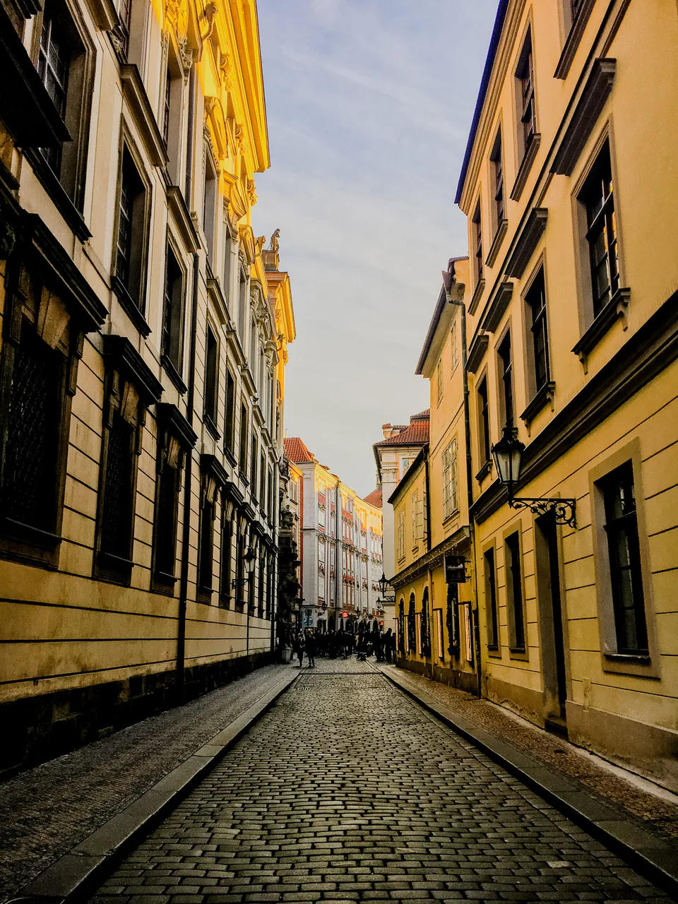 The Plant-Based Paradigm: Prague's Vegetarian & Vegan Dining Guide — The Gastronomic Metamorphosis: Veganizing Czech Heritage