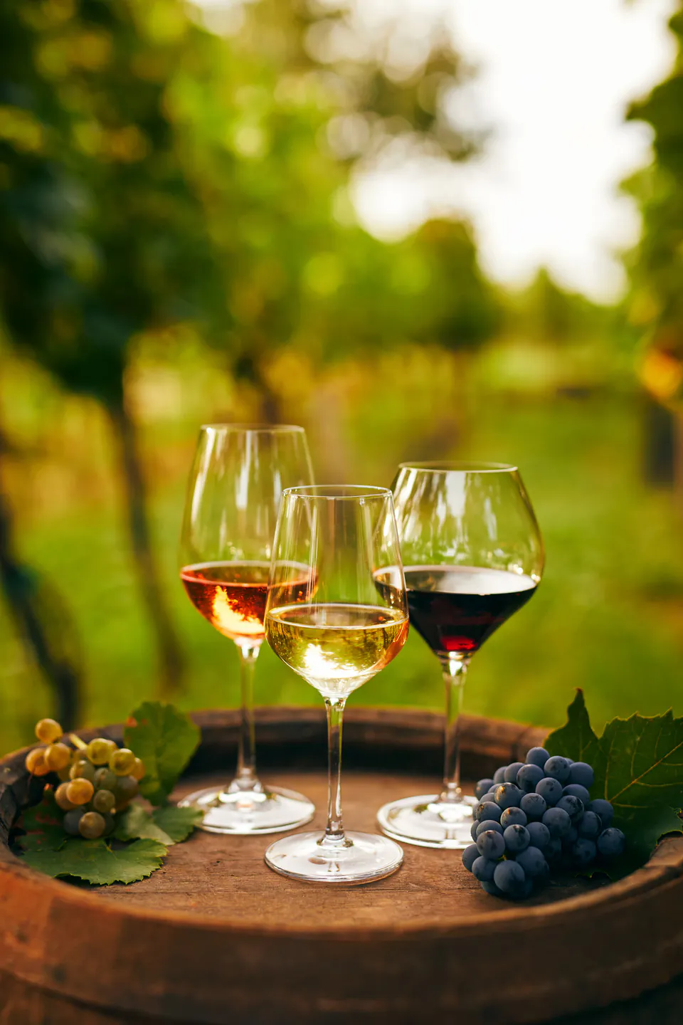 Countryside Half-day Gastro-Wine Tour from Budapest