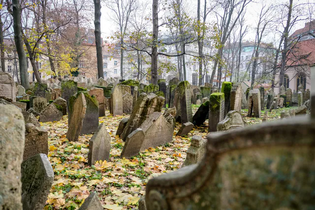 Jewish Museum in Prague — Must-See Exhibits