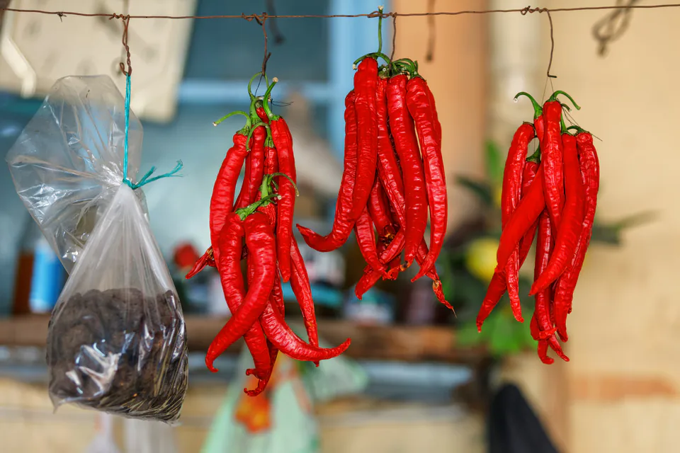 Strings of bright red Hungarian paprika peppers hanging to dry with a bag of ground paprika