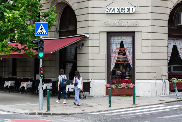 Váci utca — photo 6