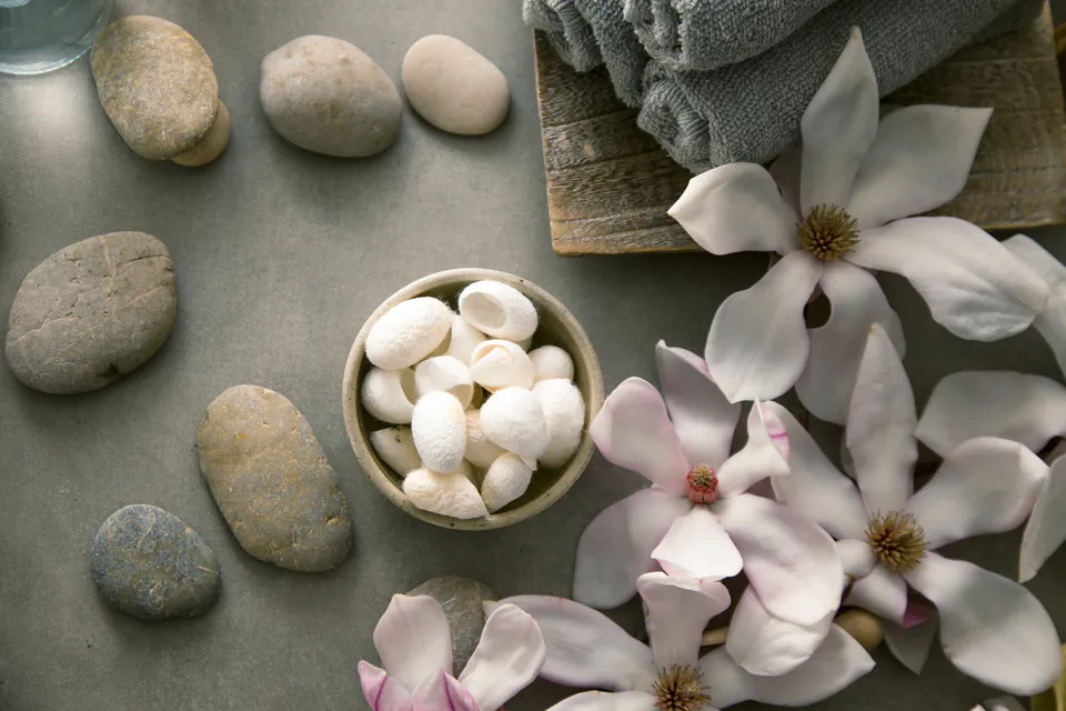 Magnolia Day Spa — Wellness & Treatments