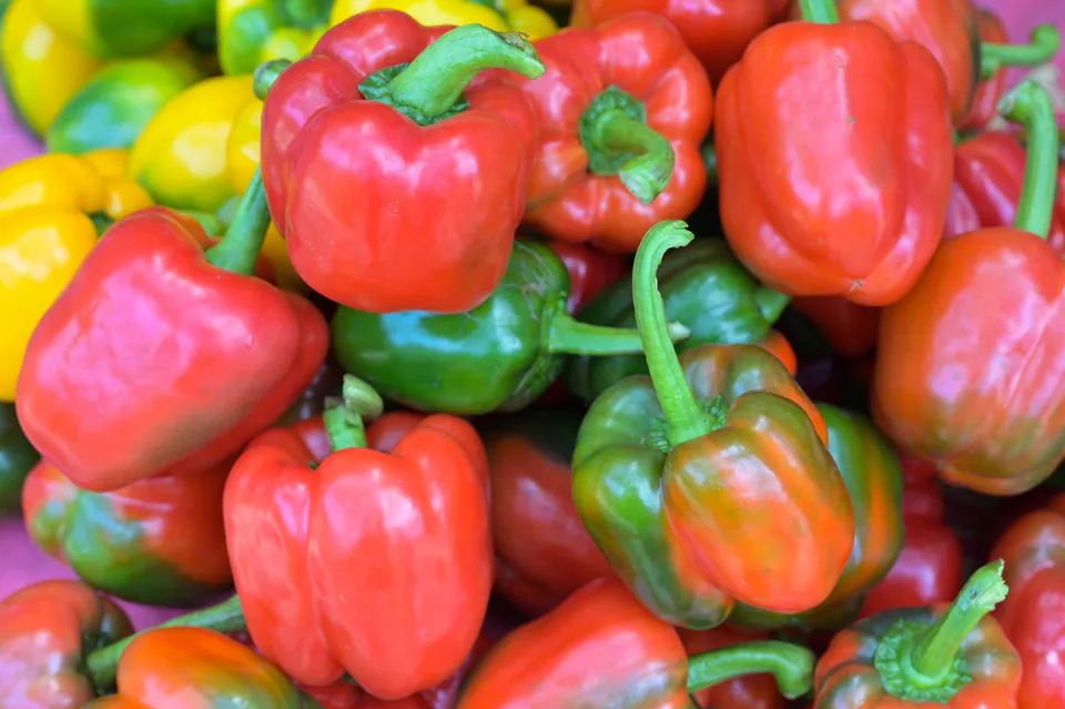 Fresh red and green bell peppers displayed at market produce stall