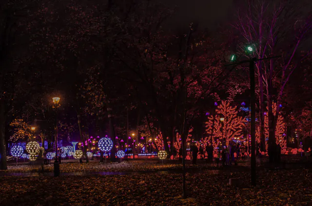 Stadtpark — Saisonale Highlights