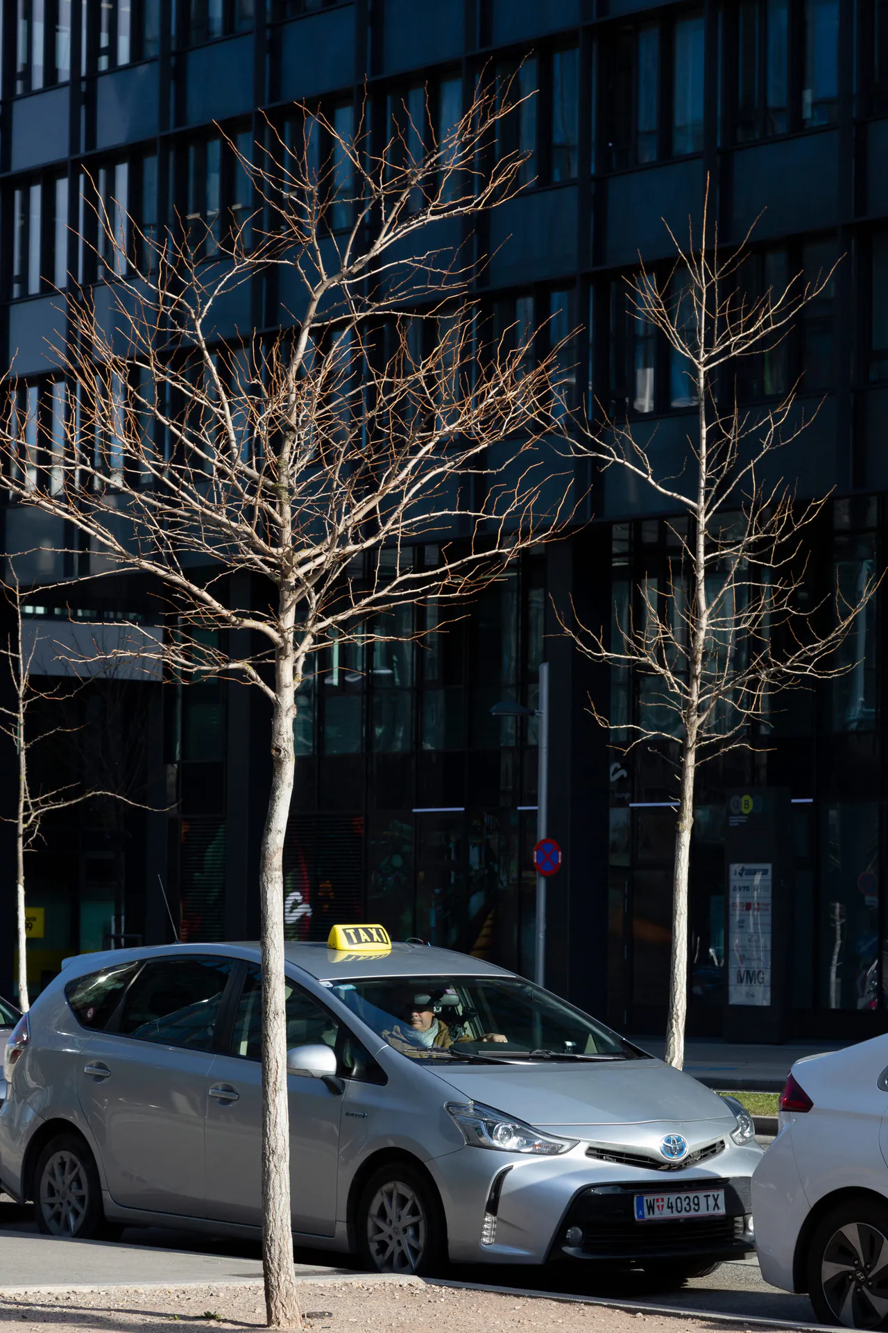 Vienna 出行攻略:本地人教你如何打车与使用网约车