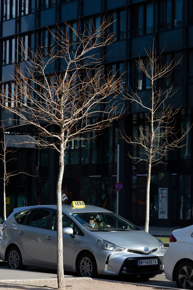 The Ultimate Local's Guide to Taxis and Rideshares in Vienna