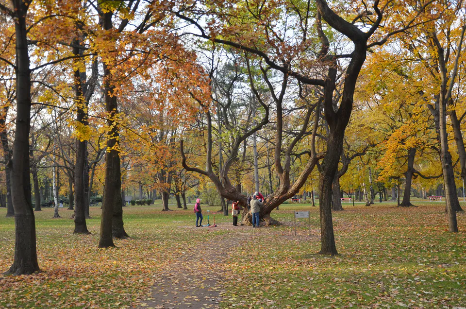 Children playing at Margaret Island playground with Danube River in background