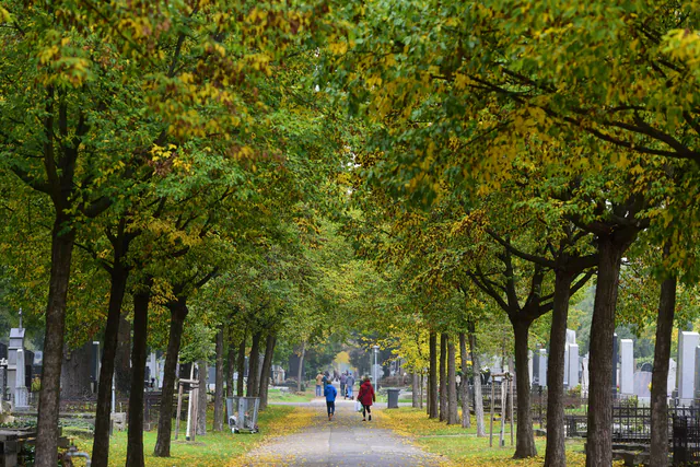 Wiener Zentralfriedhof — photo 9