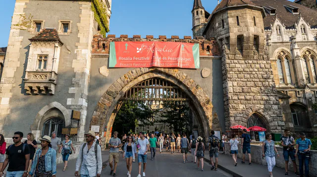 로잘리아 와인 피크닉 photo 2