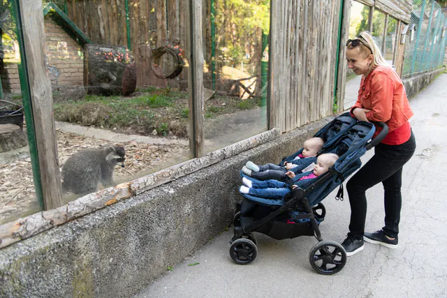Prague Zoo — Family Activities