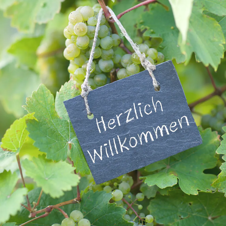 Vienna Heuriger Wine Taverns Guide: Experiencing Austria's Urban Vineyards — The Heritage and Law of the Authentic Heuriger