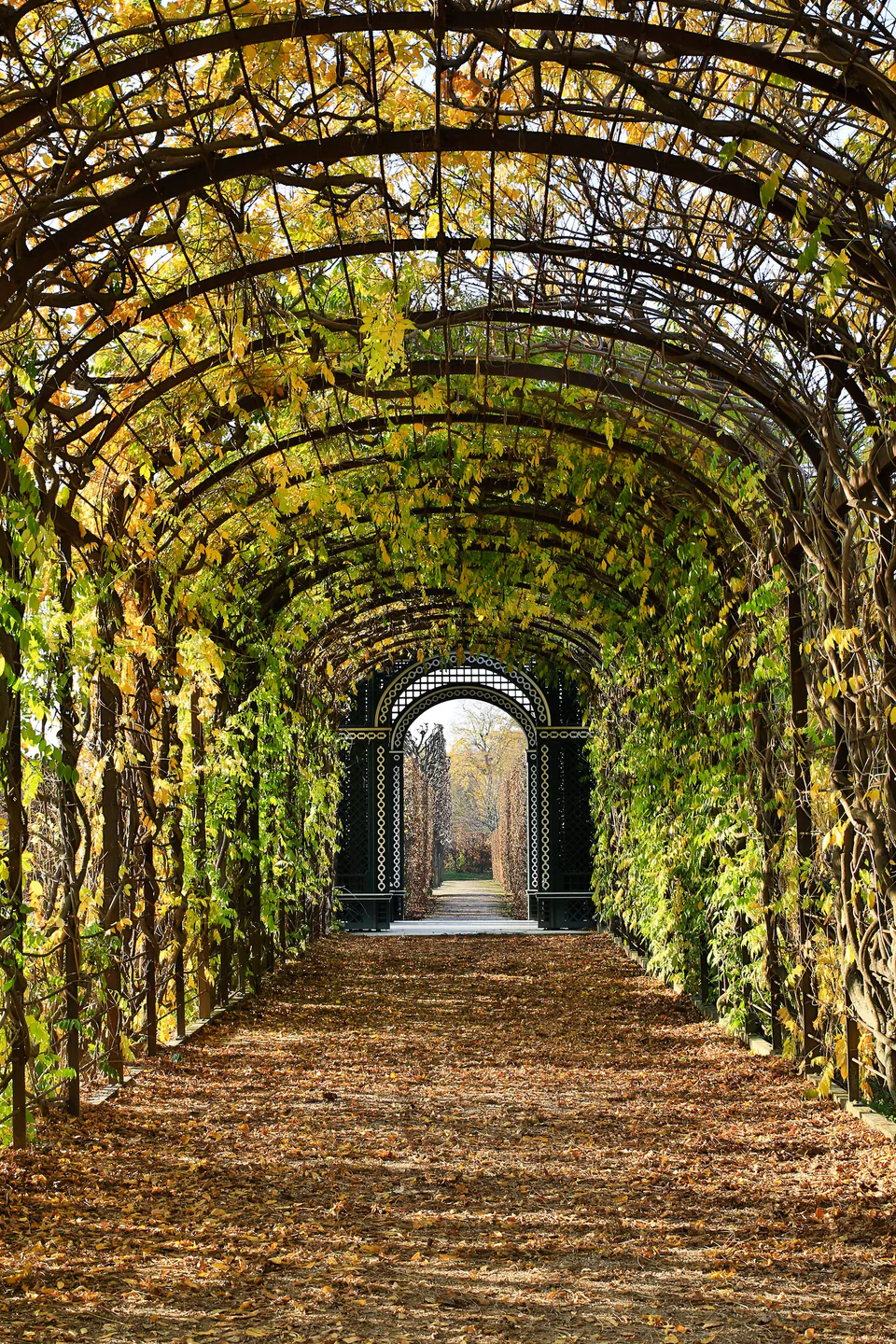 美泉宫动物园 — historic view