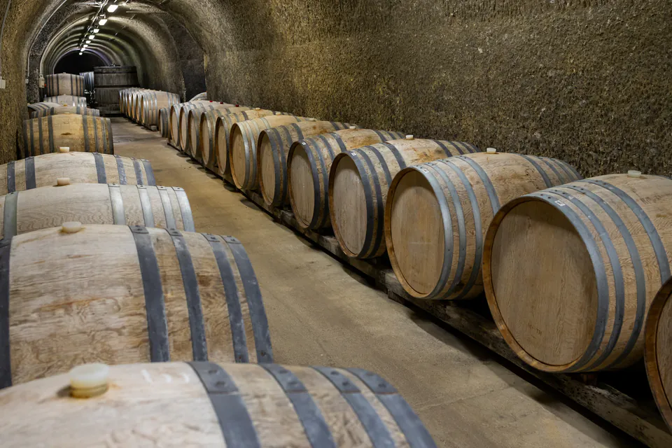 Long stone tunnel lined with oak wine barrels in traditional Hungarian cellar