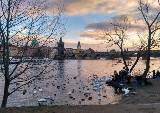 Kampa Park and Island — photo 4