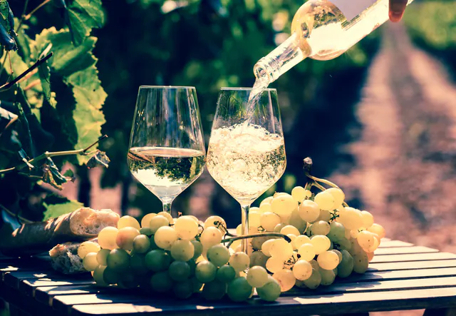 Tour de vinhos de meio dia pelo interior perto de Viena gallery 2