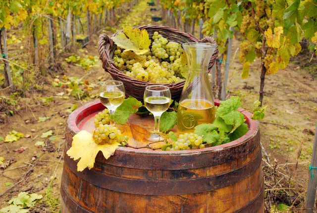 Tour de vinhos de meio dia pelo interior perto de Viena gallery 1