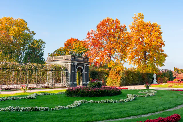 Otoño en Vienna: cosechas de vino, follaje otoñal y ganso asado — La estación dorada: parques y follaje