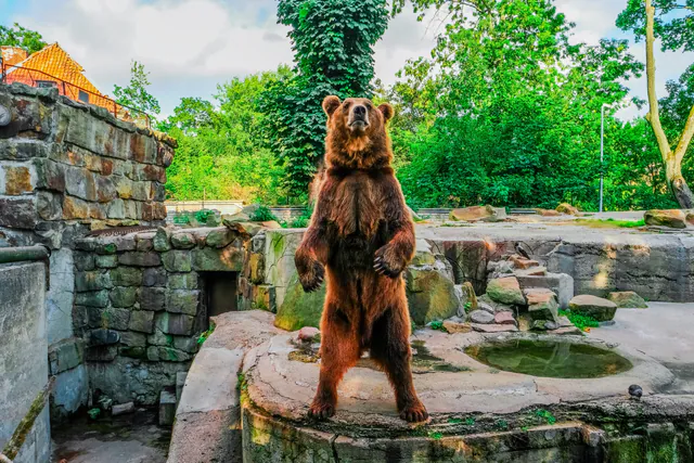 Prague Zoo — photo 4