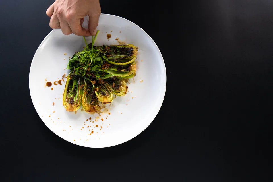 Vienna Plant-Based: The Ultimate Local's Guide to Vegetarian & Vegan Dining — Fine Dining and Upscale Plant-Based Gastronomy