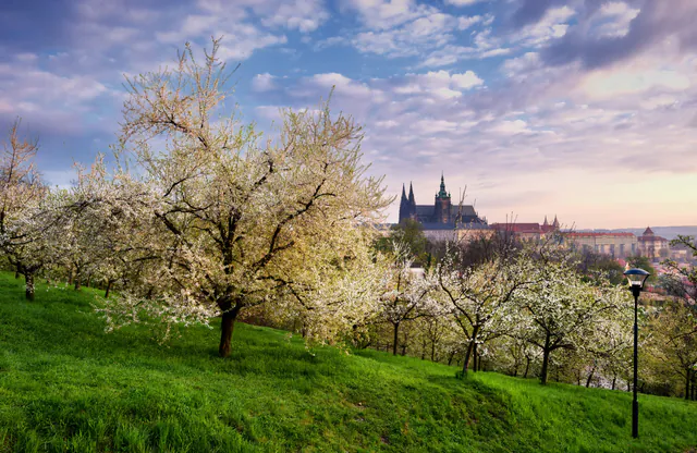 2026 Spring Travel Guide to Prague: Markets, Blooms, and Cultural Renewal