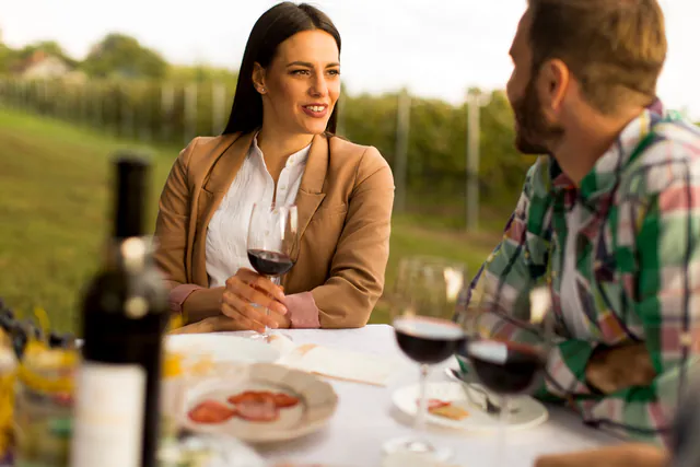 Tour de vinhos de meio dia pelo interior perto de Viena — Harmonização Gastronômica