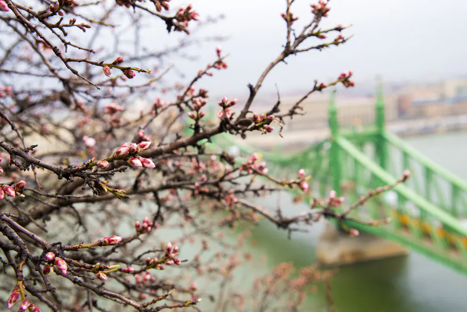 Budapest in Bloom: The Ultimate Local’s Guide to Spring Travel — Weather & Atmosphere: The Three Faces of Spring